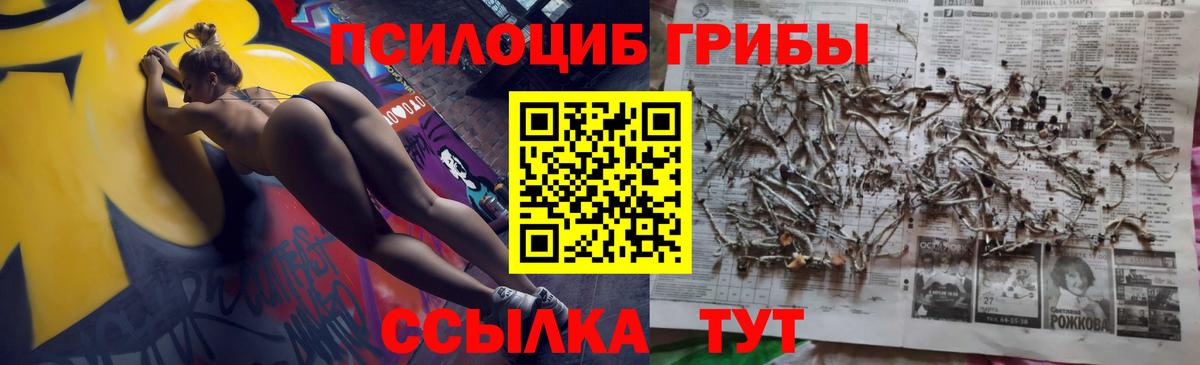 Галлюциногенные грибы Magic Shrooms Томск