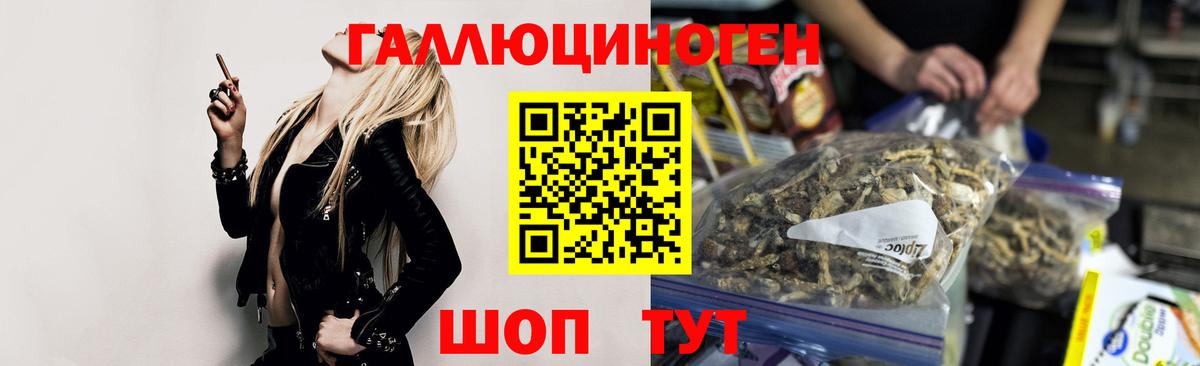 Псилоцибиновые грибы GOLDEN TEACHER  Вход с VPN  Томск 